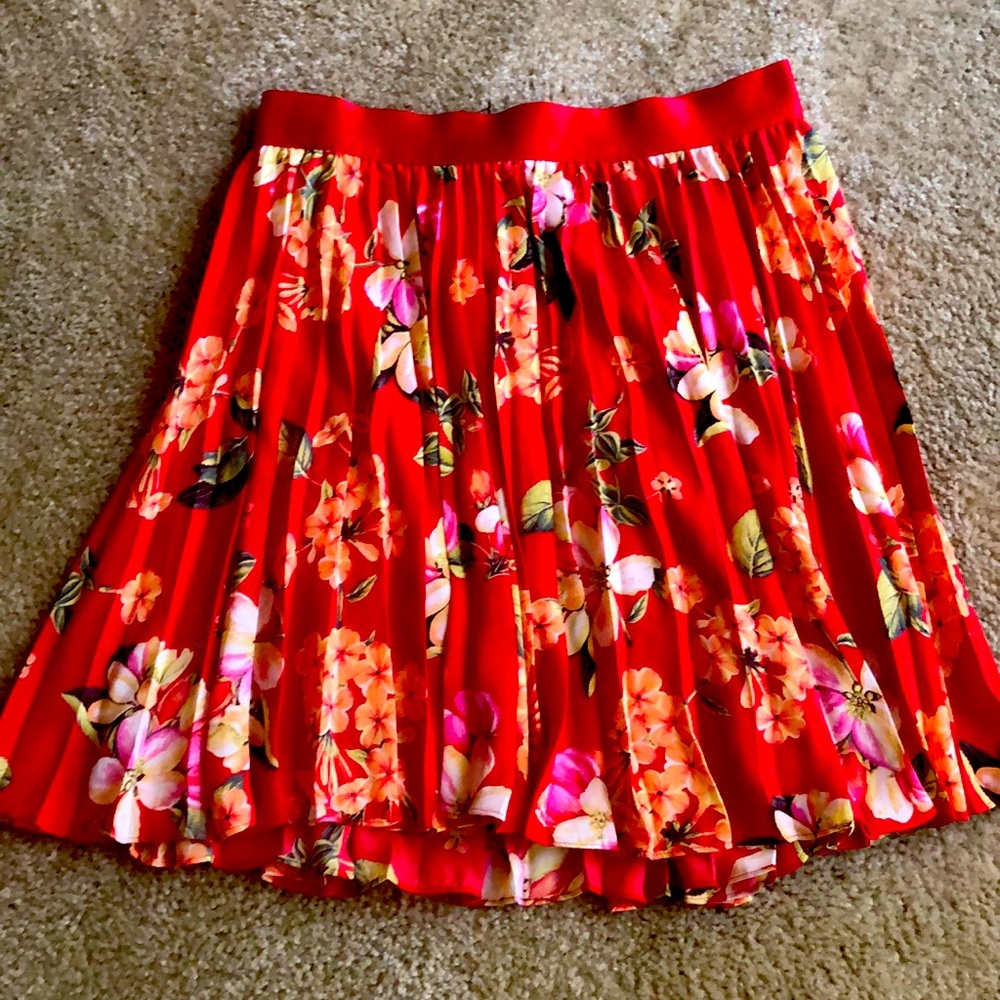 Express Small Skirt